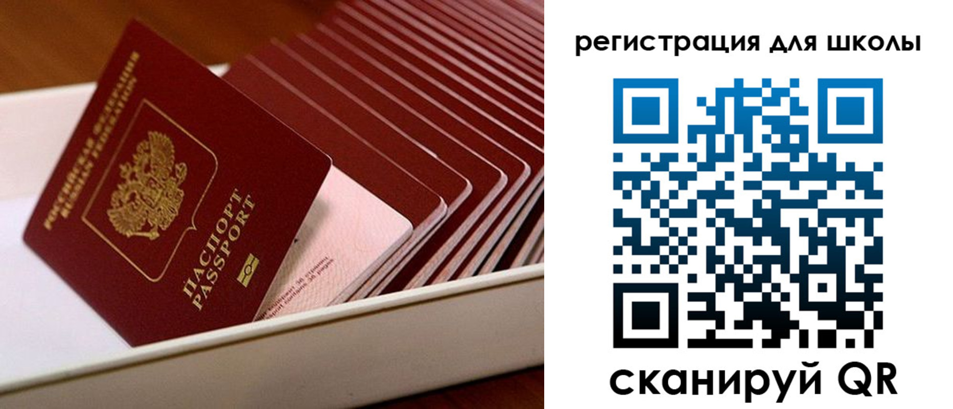 прописка гарантия в Карасуке